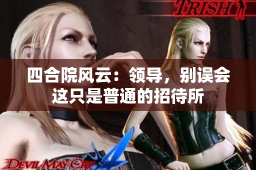 四合院风云：领导，别误会这只是普通的招待所