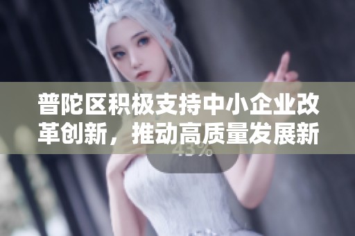 普陀区积极支持中小企业改革创新，推动高质量发展新局面