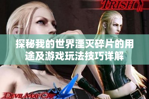 探秘我的世界湮灭碎片的用途及游戏玩法技巧详解