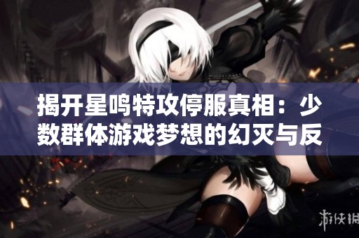 揭开星鸣特攻停服真相：少数群体游戏梦想的幻灭与反思