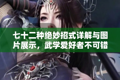 七十二种绝妙招式详解与图片展示，武学爱好者不可错过