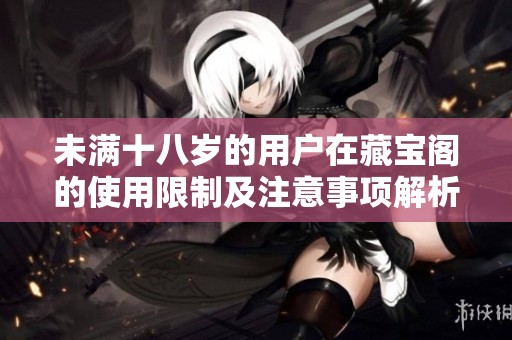 未满十八岁的用户在藏宝阁的使用限制及注意事项解析