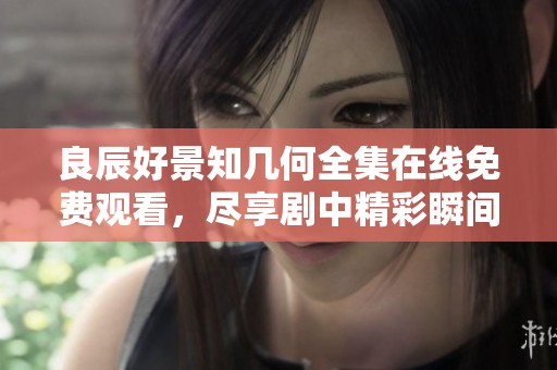 良辰好景知几何全集在线免费观看，尽享剧中精彩瞬间