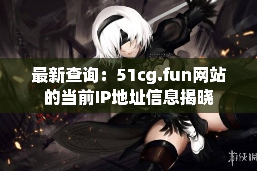 最新查询：51cg.fun网站的当前IP地址信息揭晓