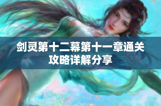 剑灵第十二幕第十一章通关攻略详解分享