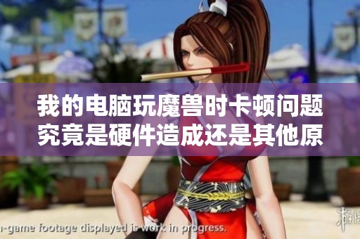 我的电脑玩魔兽时卡顿问题究竟是硬件造成还是其他原因