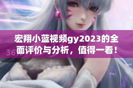 宏翔小蓝视频gy2023的全面评价与分析，值得一看！