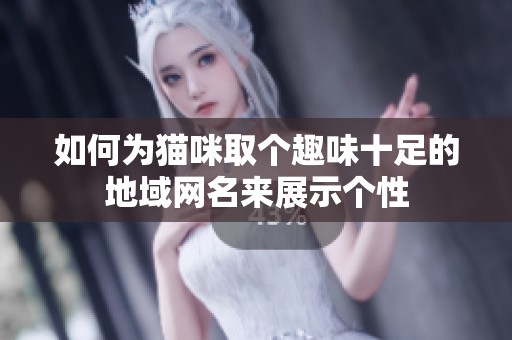 如何为猫咪取个趣味十足的地域网名来展示个性