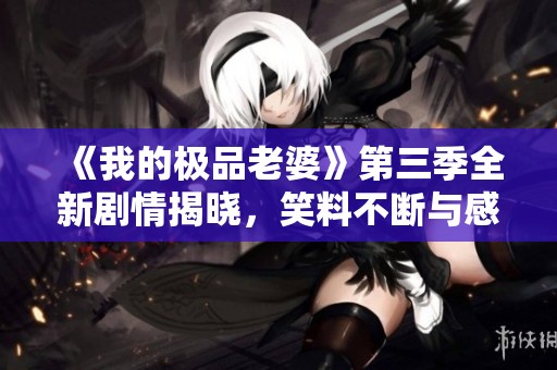 《我的极品老婆》第三季全新剧情揭晓，笑料不断与感动同行
