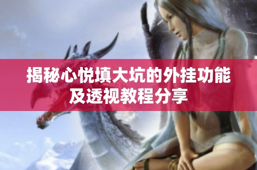 揭秘心悦填大坑的外挂功能及透视教程分享