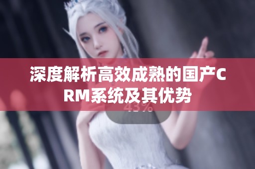 深度解析高效成熟的国产CRM系统及其优势