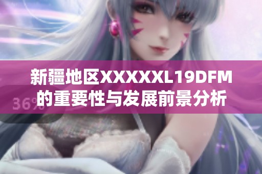 新疆地区XXXXXL19DFM的重要性与发展前景分析