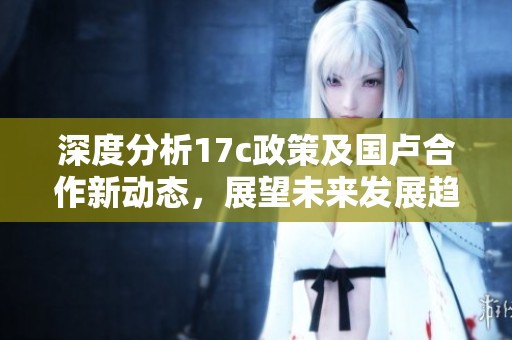 深度分析17c政策及国卢合作新动态，展望未来发展趋势
