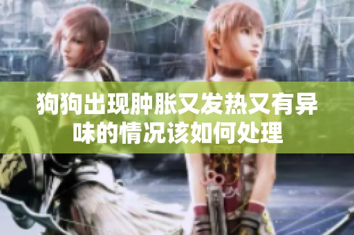 狗狗出现肿胀又发热又有异味的情况该如何处理