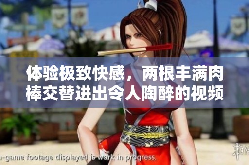 体验极致快感，两根丰满肉棒交替进出令人陶醉的视频分享