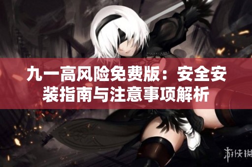 九一高风险免费版：安全安装指南与注意事项解析