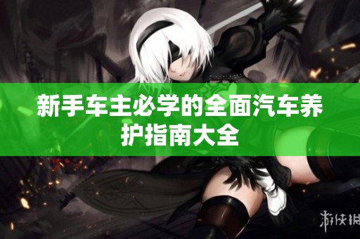 新手车主必学的全面汽车养护指南大全