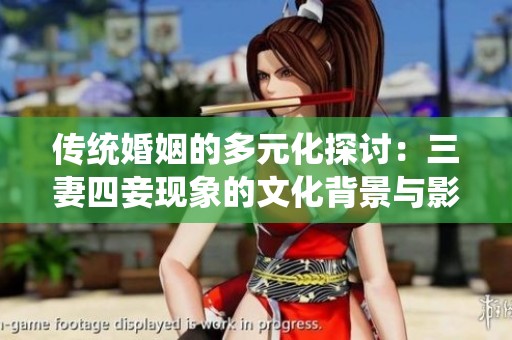 传统婚姻的多元化探讨：三妻四妾现象的文化背景与影响