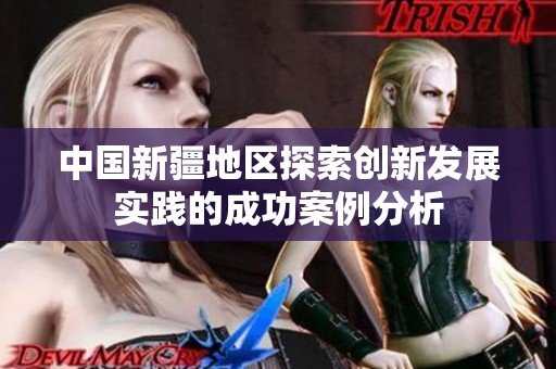 中国新疆地区探索创新发展实践的成功案例分析
