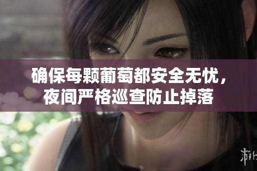 确保每颗葡萄都安全无忧，夜间严格巡查防止掉落