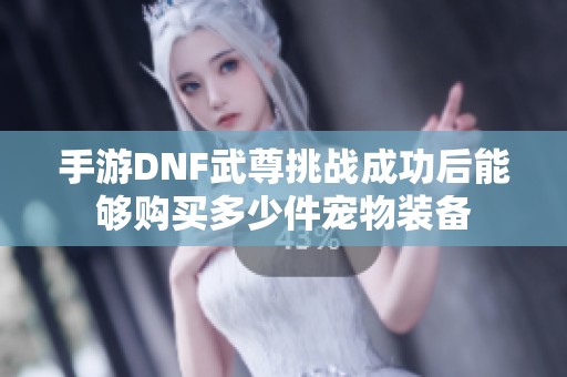 手游DNF武尊挑战成功后能够购买多少件宠物装备