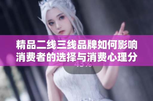 精品二线三线品牌如何影响消费者的选择与消费心理分析