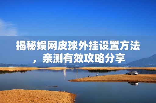 揭秘娱网皮球外挂设置方法，亲测有效攻略分享