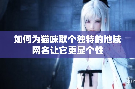 如何为猫咪取个独特的地域网名让它更显个性
