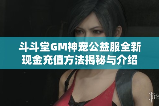 斗斗堂GM神宠公益服全新现金充值方法揭秘与介绍