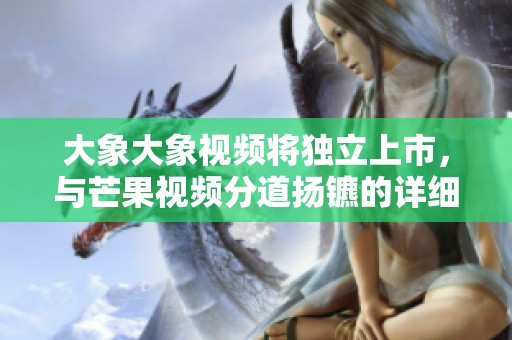 大象大象视频将独立上市，与芒果视频分道扬镳的详细解析