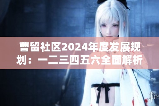 曹留社区2024年度发展规划：一二三四五六全面解析与展望