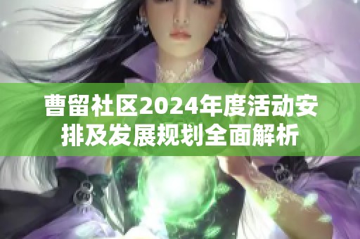 曹留社区2024年度活动安排及发展规划全面解析