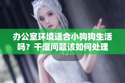 办公室环境适合小狗狗生活吗？干湿问题该如何处理