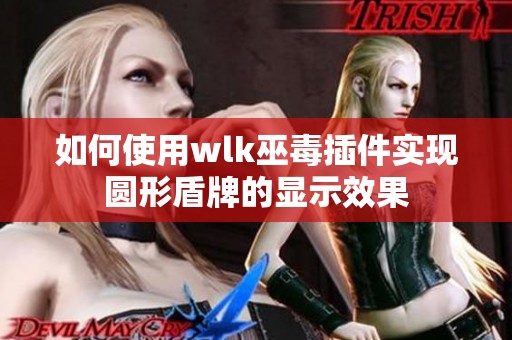 如何使用wlk巫毒插件实现圆形盾牌的显示效果