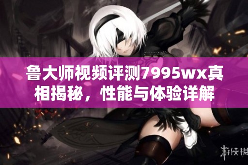鲁大师视频评测7995wx真相揭秘，性能与体验详解