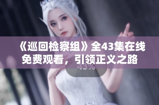 《巡回检察组》全43集在线免费观看，引领正义之路