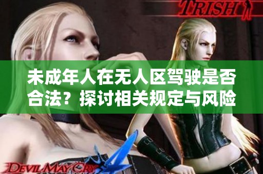 未成年人在无人区驾驶是否合法？探讨相关规定与风险