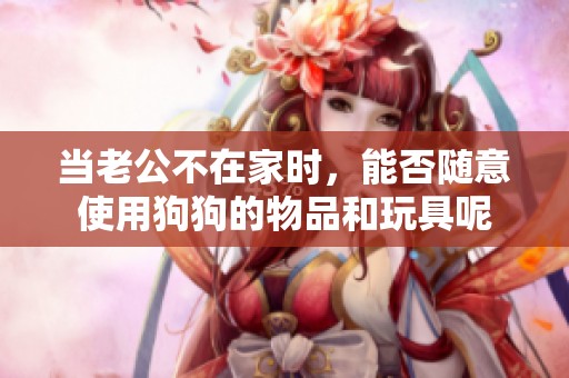当老公不在家时，能否随意使用狗狗的物品和玩具呢
