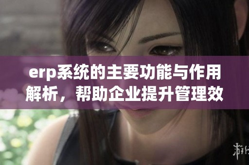 erp系统的主要功能与作用解析，帮助企业提升管理效率