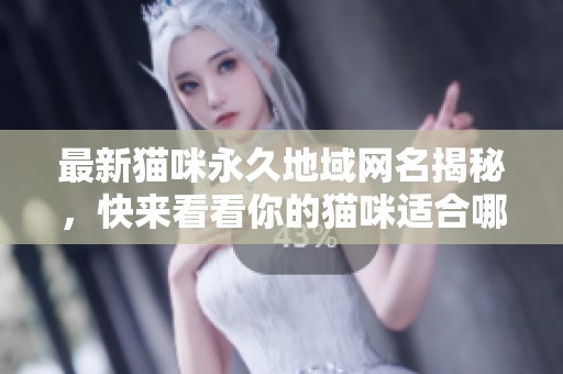 最新猫咪永久地域网名揭秘，快来看看你的猫咪适合哪个吧！