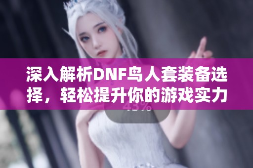 深入解析DNF鸟人套装备选择，轻松提升你的游戏实力！