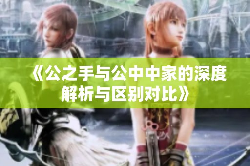 《公之手与公中中家的深度解析与区别对比》