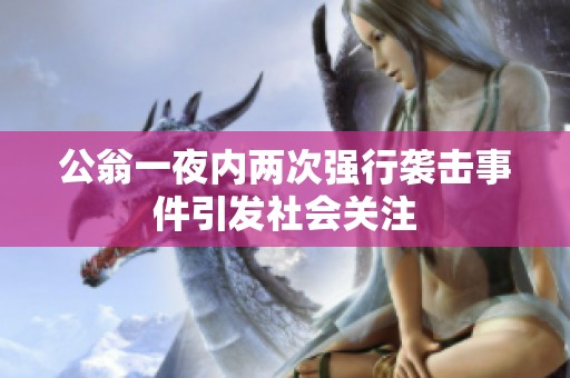 公翁一夜内两次强行袭击事件引发社会关注