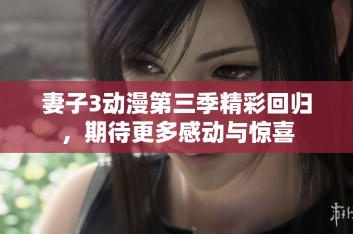 妻子3动漫第三季精彩回归，期待更多感动与惊喜