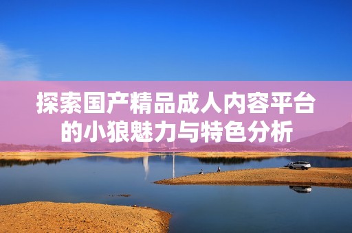 探索国产精品成人内容平台的小狼魅力与特色分析