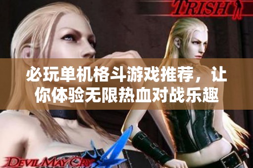 必玩单机格斗游戏推荐，让你体验无限热血对战乐趣
