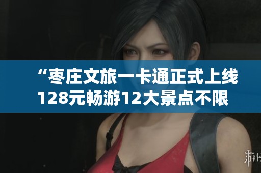 “枣庄文旅一卡通正式上线 128元畅游12大景点不限次数”