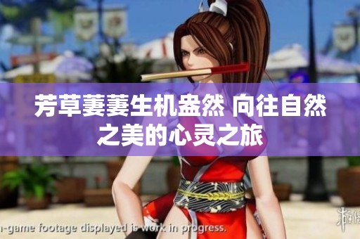 芳草萋萋生机盎然 向往自然之美的心灵之旅
