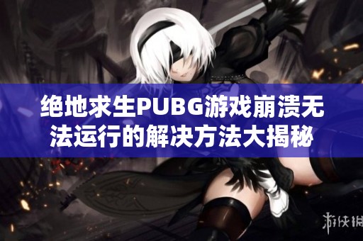 绝地求生PUBG游戏崩溃无法运行的解决方法大揭秘