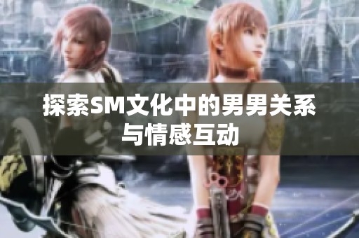 探索SM文化中的男男关系与情感互动